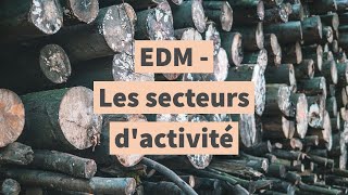 Les secteurs dactivité [upl. by Novyar]