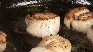 How to Cook Scallops [upl. by Idelle]