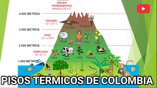 PISOS TÉRMICOS DE COLOMBIA [upl. by Cosimo]