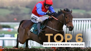 QUEVEGAS SIX MARES HURDLE WINS AT THE CHELTENHAM FESTIVAL [upl. by Reedy]