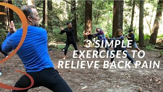 3 Easy Exercises to Relieve Back Pain Naturally  Get Natural Back Pain Relief [upl. by Garlanda867]