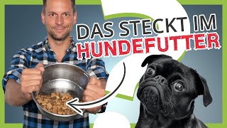 Was steckt wirklich im HUNDEFUTTER Die unbequeme Wahrheit [upl. by Ednyl]