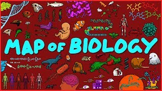 Map of Biology [upl. by Medardas]