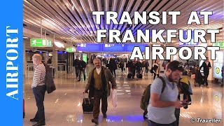 TRANSIT WALK AT FRANKFURT Airport FRA Terminal 1  Connection Flight Transfer Arriving amp Departing [upl. by Eelrahs]