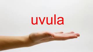 How to Pronounce uvula  American English [upl. by Ulah]