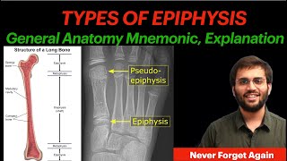 General Anatomy Types of Epiphysis  Mnemonic amp Explanation  Anatomy [upl. by Aenotna742]