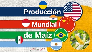 Producción Mundial de Maíz Principales Importadores y Exportadores [upl. by Nacul262]