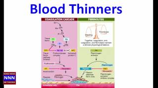 Blood Thinners Aspirin Plavix coumadin Xeralto Eliquis by DR NIK NIKAM for NNN [upl. by Ziul]