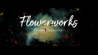 Exploding Flower Fireworks [upl. by Ner]