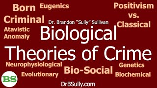 Biological Theories of Crime LINKS TO NEW VERSIONS IN DESCRIPTION [upl. by Nyla446]