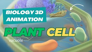 The Secret World Inside Plant Cells  3D Animation Reveals [upl. by Dlorah]