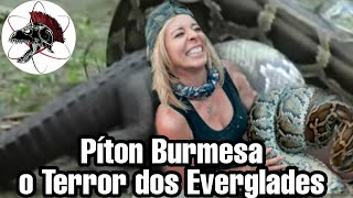 Cobra Píton Burmesa o Terror dos Everglades  Biólogo Henrique o Biólogo das Cobras [upl. by Dlorad]