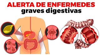 9 enfermedades del SISTEMA DIGESTIVO comunes que deberías conocer [upl. by Borchers59]