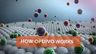 New Immunotherapy Cancer Treatment Opdivo nivolumab [upl. by Bores]