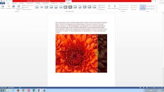 Bildbearbeitung leicht gemacht in Microsoft Word [upl. by Esinnej]