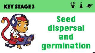 Germination and seed dispersal [upl. by Nealah]