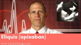 Eliquis apixaban Basics about this medicine its use effectiveness and side effects [upl. by Enyamrahc]