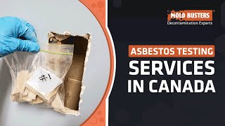 Asbestos Testing Services in Canada  Mold Busters [upl. by Yrem]