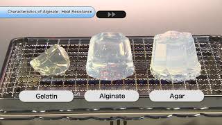 Characteristics of Alginate quotHeat Resistancequot [upl. by Ileyan]