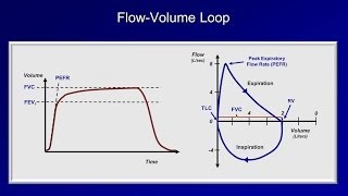 Pulmonary Function Tests PFT Lesson 2  Spirometry [upl. by Michelsen]