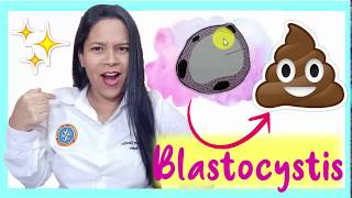 🌟💩 Blastocystis spp MORFOLOGÍA 👍 ¡Parasitología [upl. by Weiner]