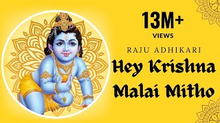 Hey krishna Malai Mitho Bamsi  Raju Adhikari srdbhakti Bhajan  Nepali Bhajan [upl. by Drazze]