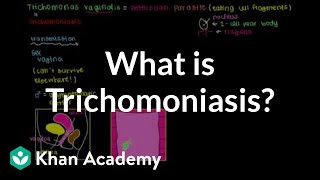 What is trichomoniasis  Infectious diseases  NCLEXRN  Khan Academy [upl. by Nalro]