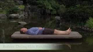 Qi Gong for Deep Sleep Bonus Segment [upl. by Eetak]