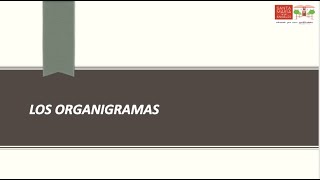 Organigramas en la empresa [upl. by Emmalyn]