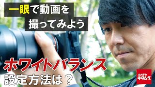 【一眼動画撮影テクニック】ホワイトバランスの設定方法をご紹介！（カメラのキタムラ動画） [upl. by Penni]