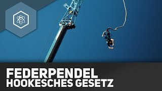 Federpendel  Hookesches Gesetz  Harmonische Schwingungen  REMAKE [upl. by Angelis]