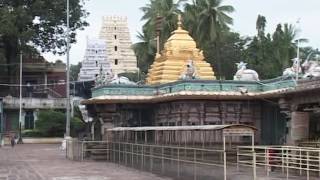 SRISAILAM MALLIKARJUNA SWAMY TEMPLE IN ANDHRA PRADESH  NALLAMALA FOREST [upl. by Morgen]